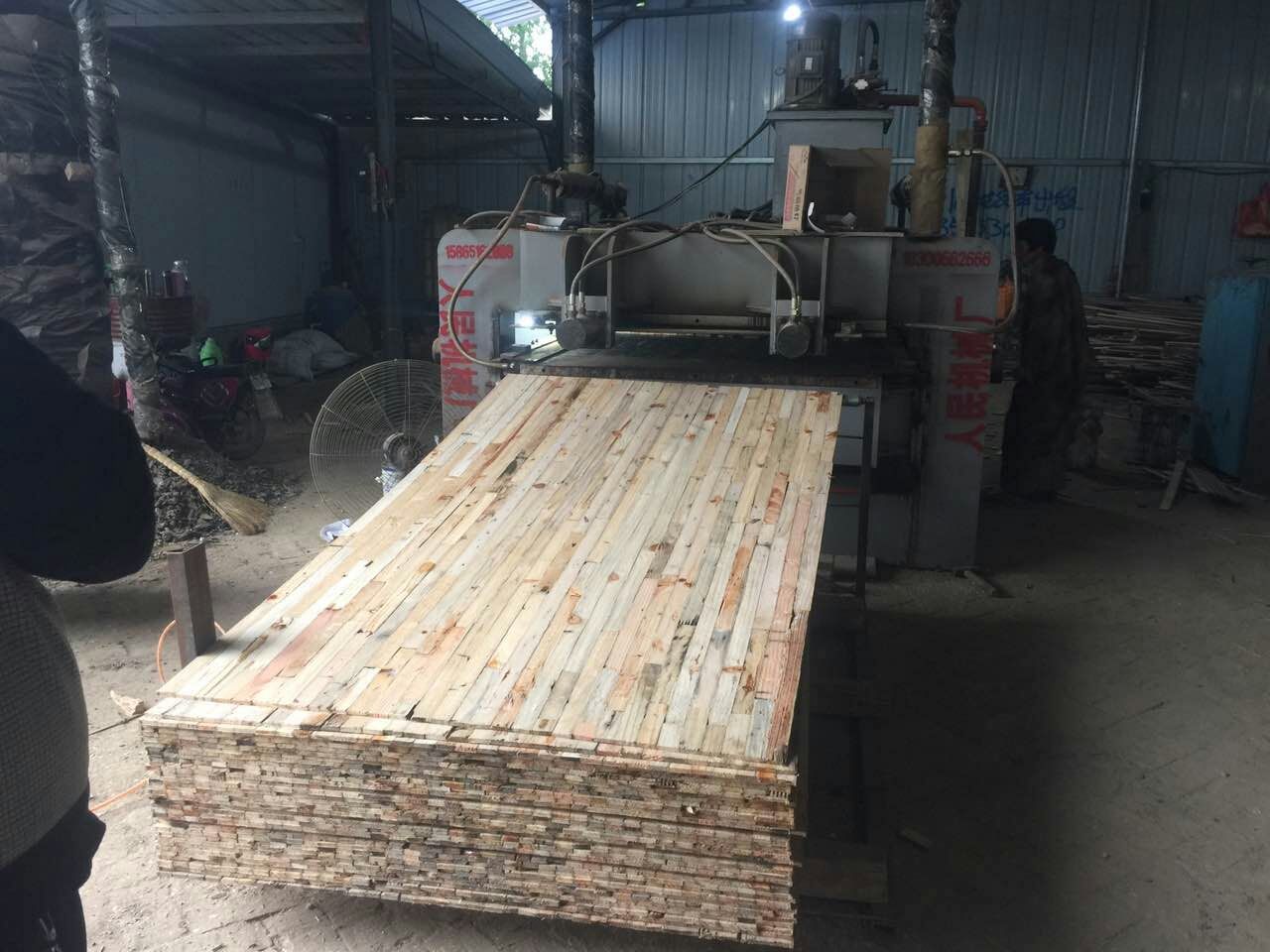 青青草操逼视频 青青草操逼视频